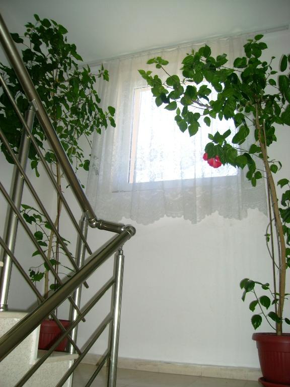 Guest House Jumbo Aheloy Buitenkant foto